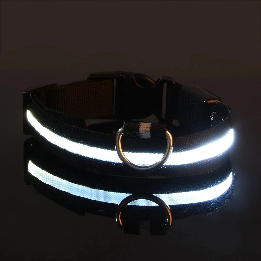 LED Dog Collar Glowing for Night Walks