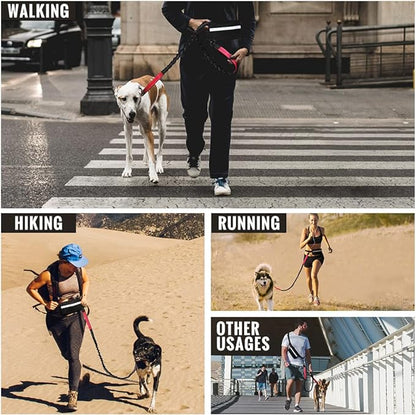 FlowLeash Dog Leash with Shock Absorber & Hip Belt