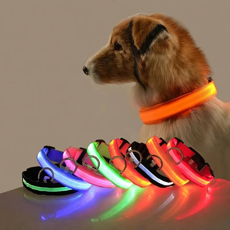 LED Dog Collar Glowing for Night Walks