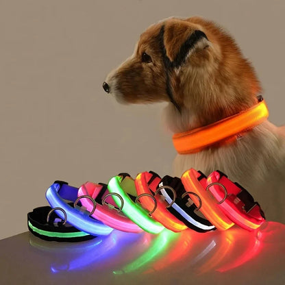 LED Dog Collar Glowing for Night Walks