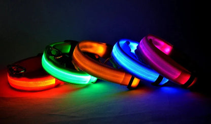 LED Dog Collar Glowing for Night Walks