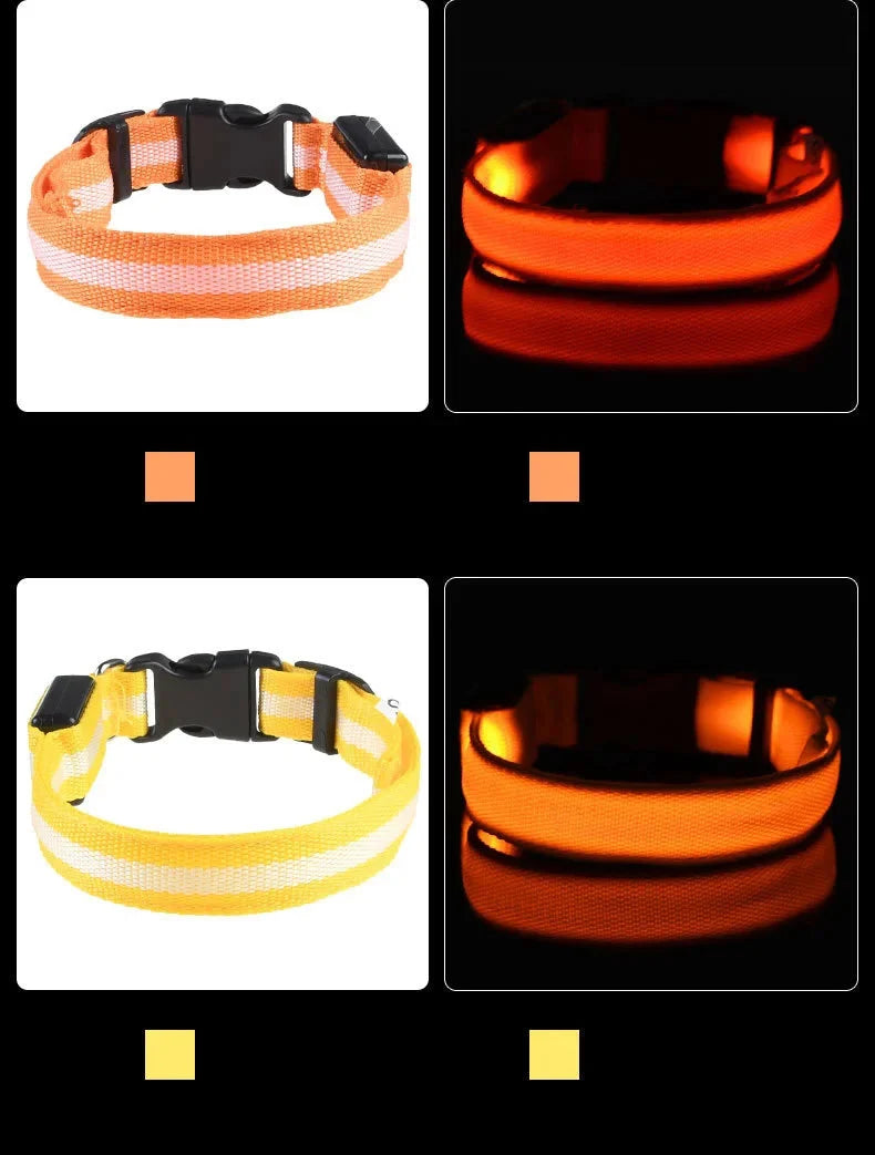 LED Dog Collar Glowing for Night Walks