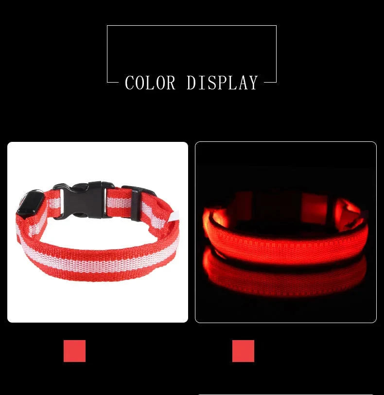 LED Dog Collar Glowing for Night Walks