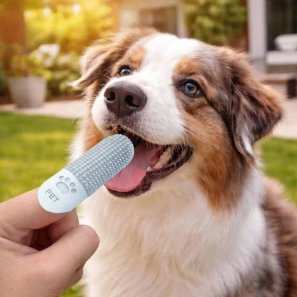Finger Toothbrush for Dogs & Cats 3-Pack