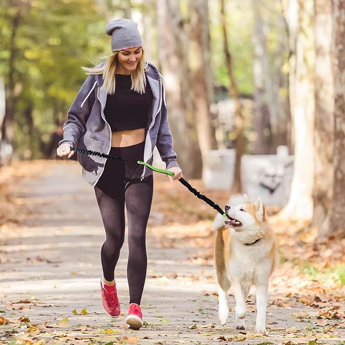 FlowLeash Dog Leash with Shock Absorber & Hip Belt
