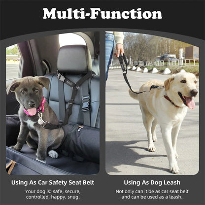 Dog Safety Belt & Leash 2-in-1