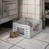 SnapClaw™ — Take Back Your Home with Effortless, Escape-Proof Mouse Control