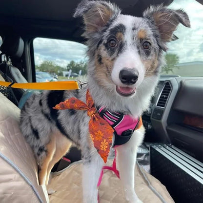 Dog Safety Belt & Leash 2-in-1