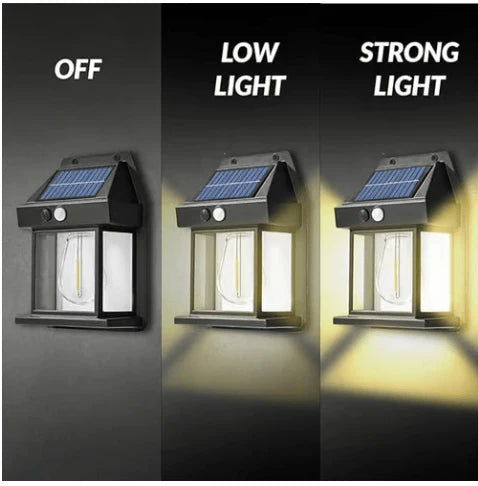 Solar wall light with motion sensor