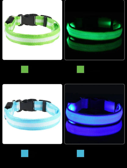 LED Dog Collar Glowing for Night Walks