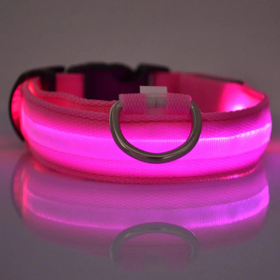 LED Dog Collar Glowing for Night Walks
