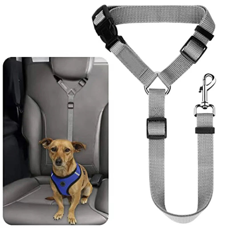Dog Safety Belt & Leash 2-in-1