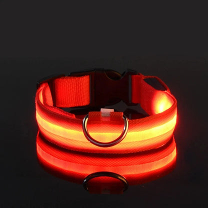 LED Dog Collar Glowing for Night Walks