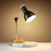 HoutLicht Desk Lamp for Office Desk