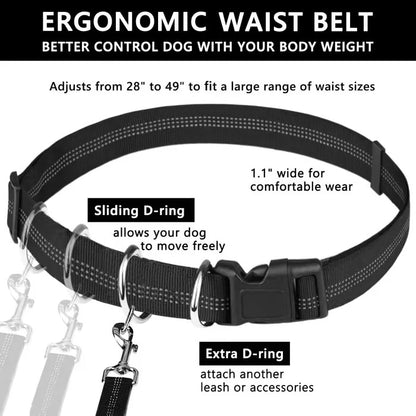 FlowLeash Dog Leash with Shock Absorber & Hip Belt