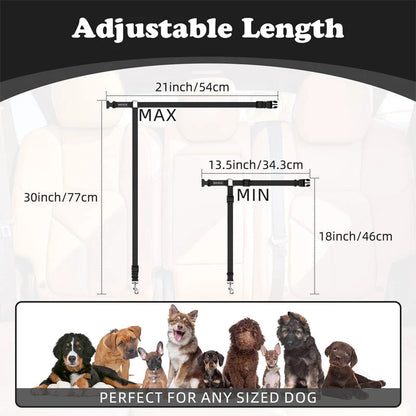 Dog Safety Belt & Leash 2-in-1