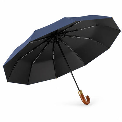 Windproof Automatic Umbrella with UPF50+ Protection