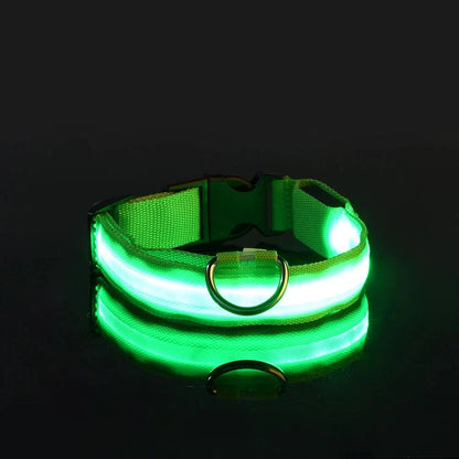 LED Dog Collar Glowing for Night Walks