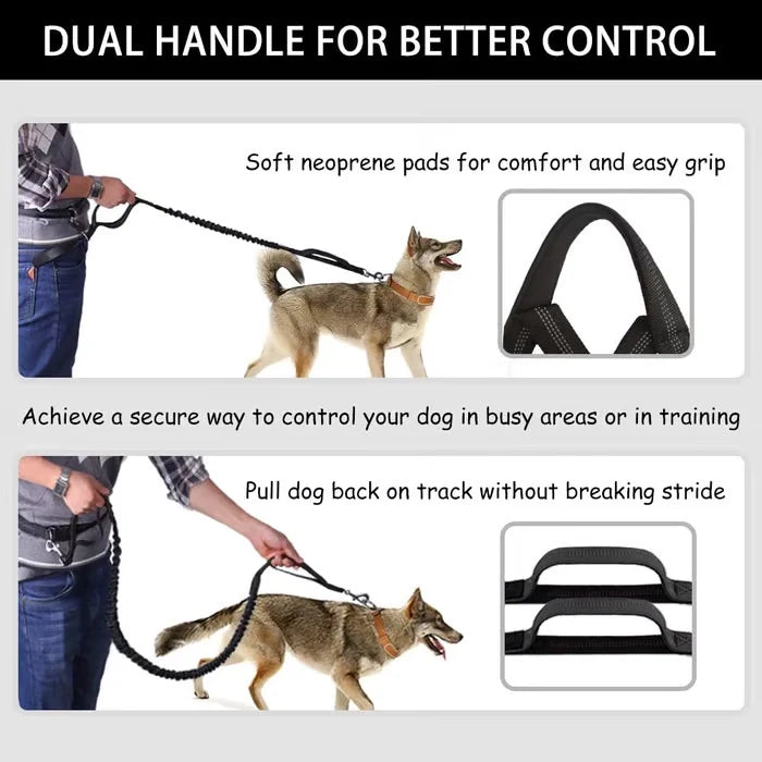 FlowLeash Dog Leash with Shock Absorber & Hip Belt