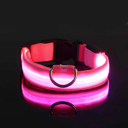 LED Dog Collar Glowing for Night Walks