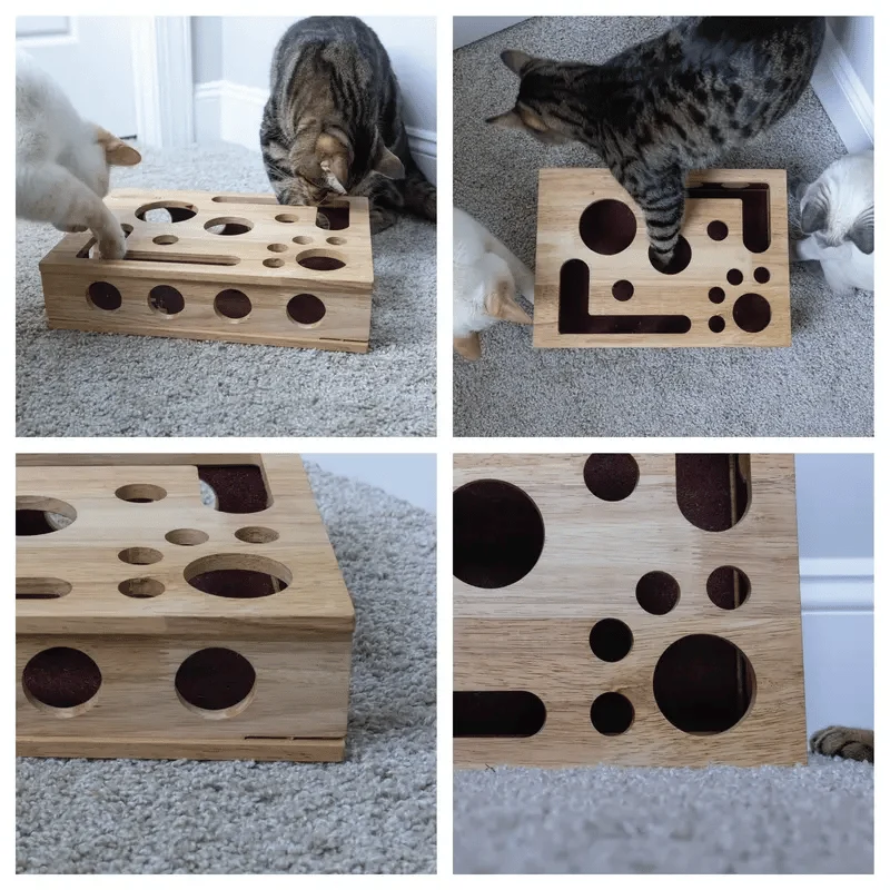 Cat Scratching Puzzle Activity Box