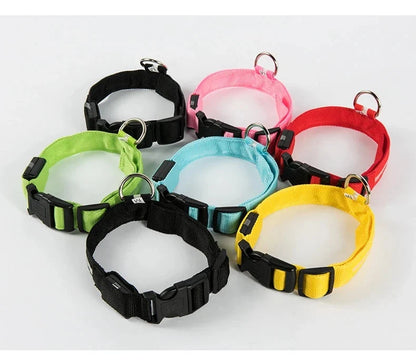 LED Dog Collar Glowing for Night Walks