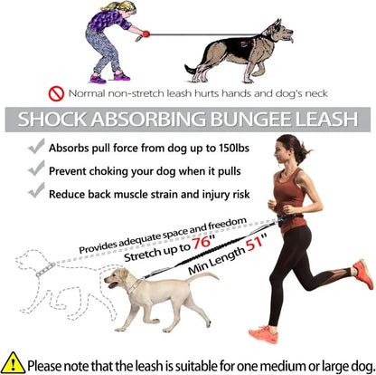 FlowLeash Dog Leash with Shock Absorber & Hip Belt