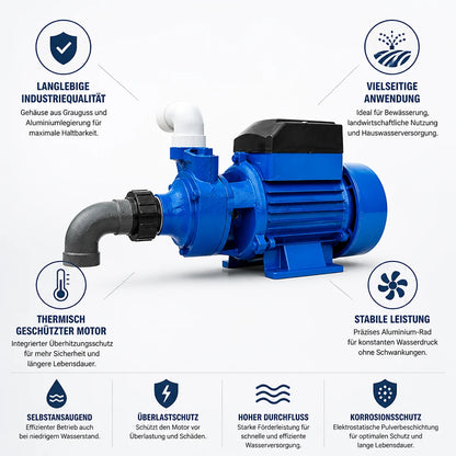 Thermally Protected Self-Priming Water Pump Made of Cast Iron and Aluminum