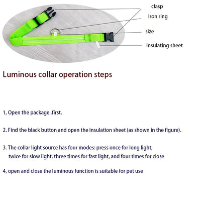 LED Dog Collar Glowing for Night Walks