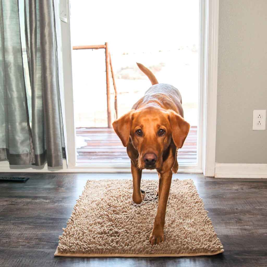1+1 FREE | PawGuard Mat – No More Dirty Dog Paws in the House
