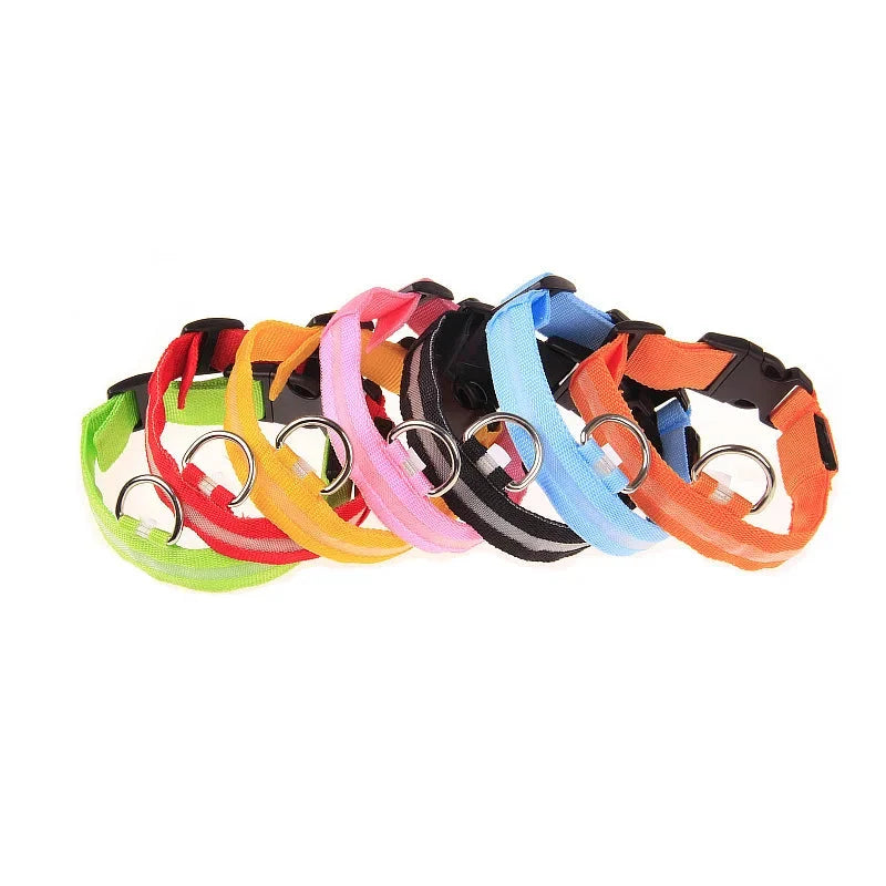 LED Dog Collar Glowing for Night Walks