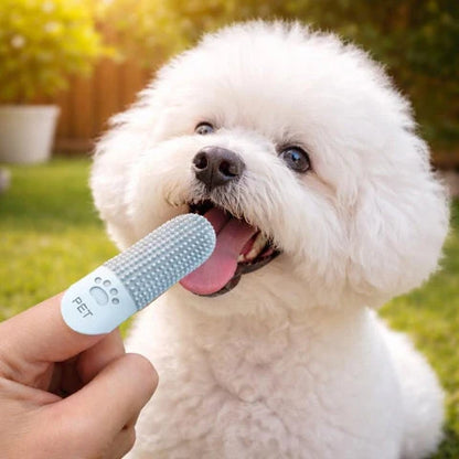 Finger Toothbrush for Dogs & Cats 3-Pack