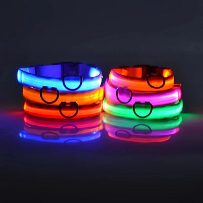 LED Dog Collar Glowing for Night Walks