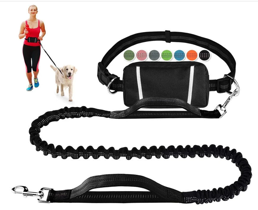 FlowLeash Dog Leash with Shock Absorber & Hip Belt