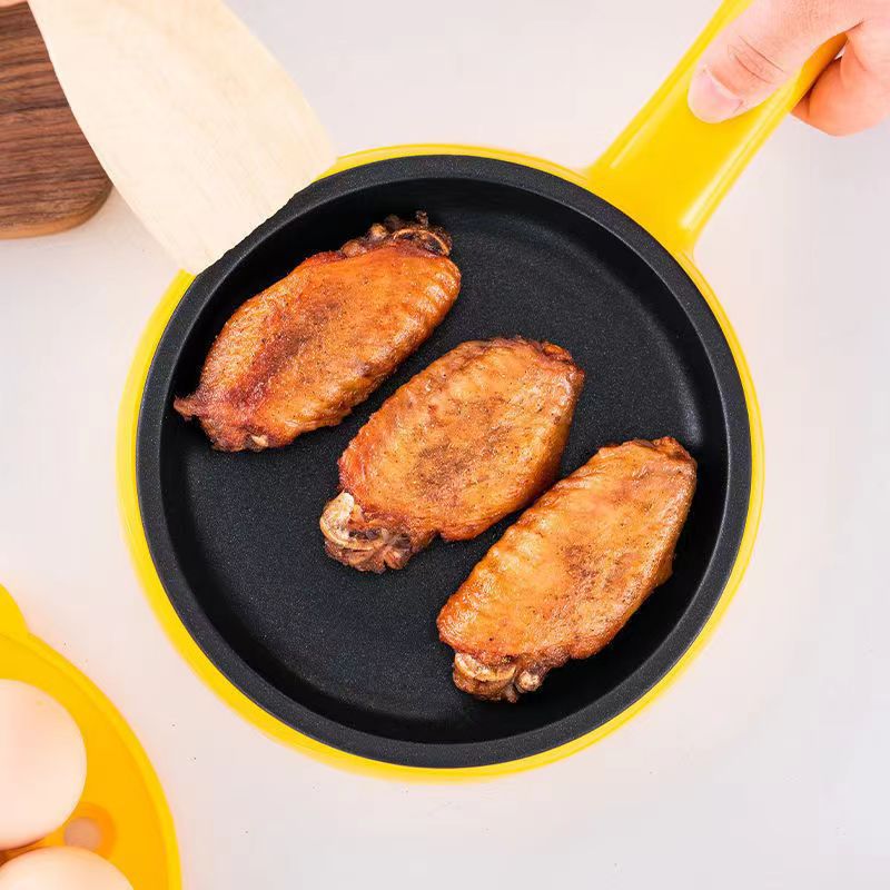 2-in-1 Electric Pan & Egg Cooker