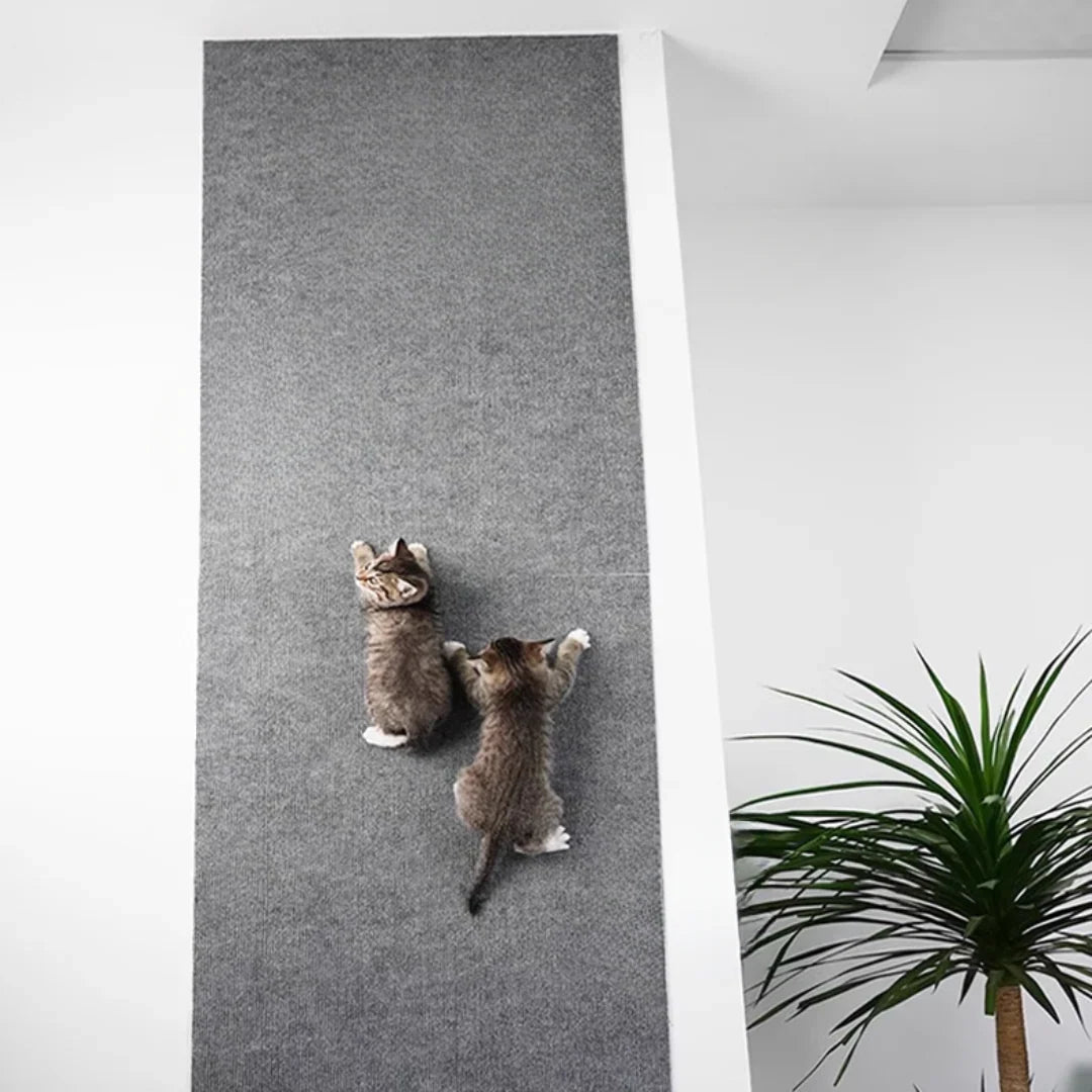 ScratchSafe™ — Transform Your Furniture into Cat-Proof Comfortable Oases Without Scratch Damage