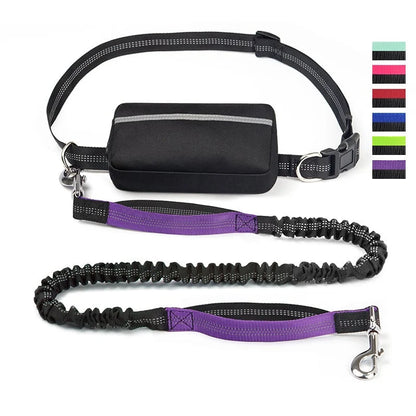 FlowLeash Dog Leash with Shock Absorber & Hip Belt
