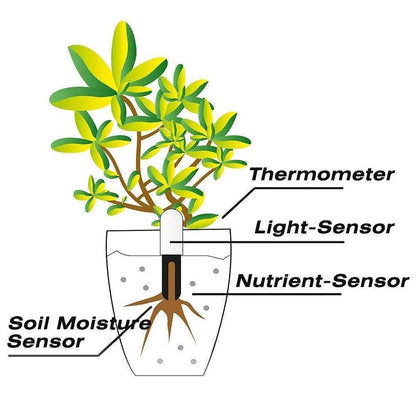 Plant sensor with Bluetooth app