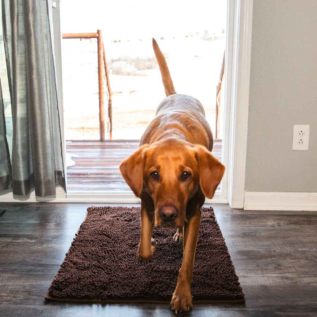 1+1 FREE | PawGuard Mat – No More Dirty Dog Paws in the House