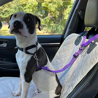 Dog Safety Belt & Leash 2-in-1