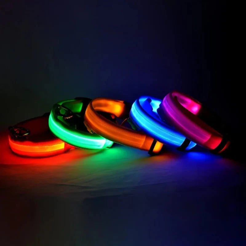 LED Dog Collar Glowing for Night Walks