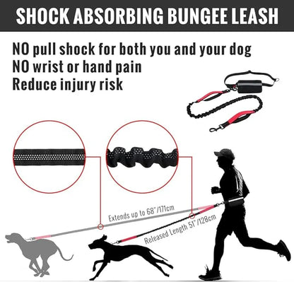 FlowLeash Dog Leash with Shock Absorber & Hip Belt