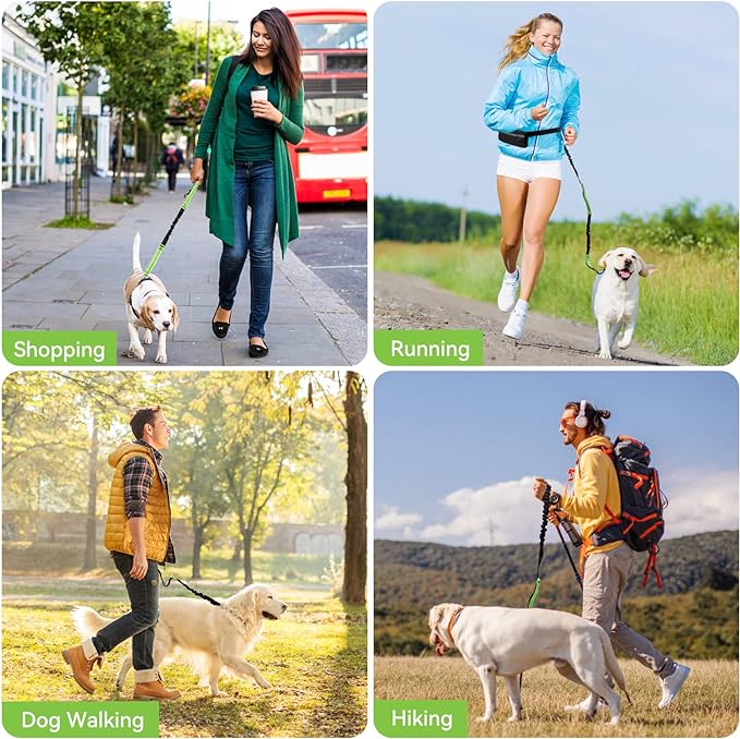 FlowLeash Dog Leash with Shock Absorber & Hip Belt
