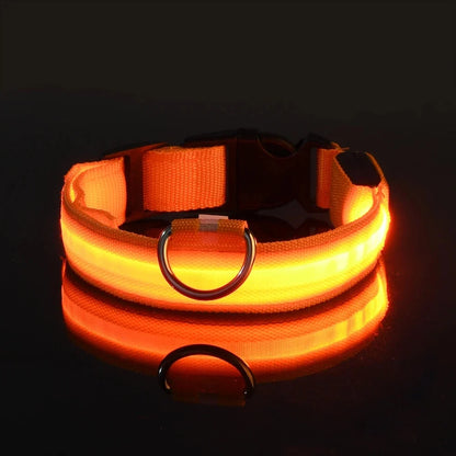 LED Dog Collar Glowing for Night Walks