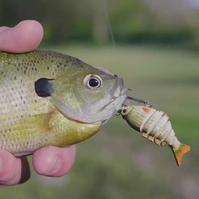 Lifelike Fishing Lures for Freshwater and Saltwater