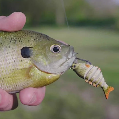 Lifelike Fishing Lures for Freshwater and Saltwater