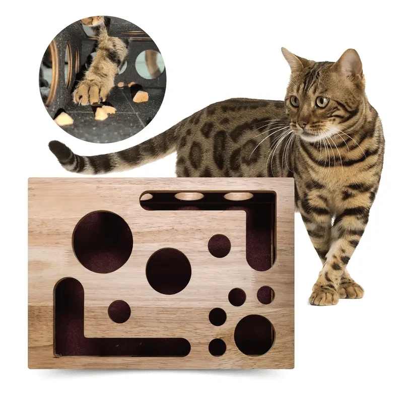 Cat Scratching Puzzle Activity Box