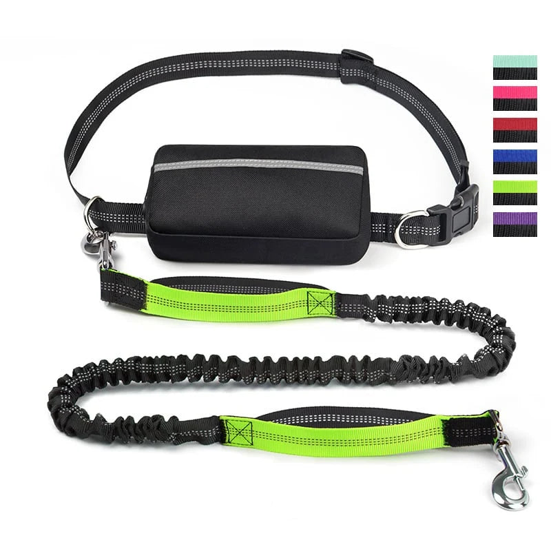 FlowLeash Dog Leash with Shock Absorber & Hip Belt