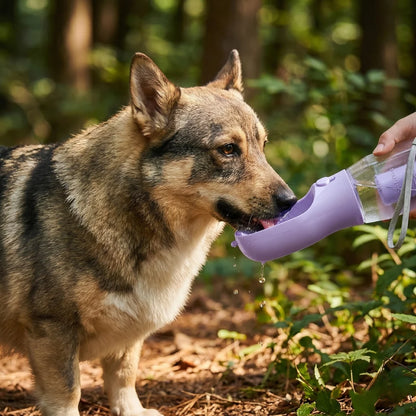 TrailBuddy™ – 3-in-1 Dog Water Bottle with Food Container