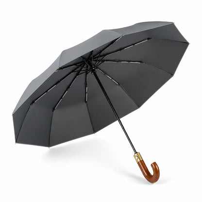 Windproof Automatic Umbrella with UPF50+ Protection